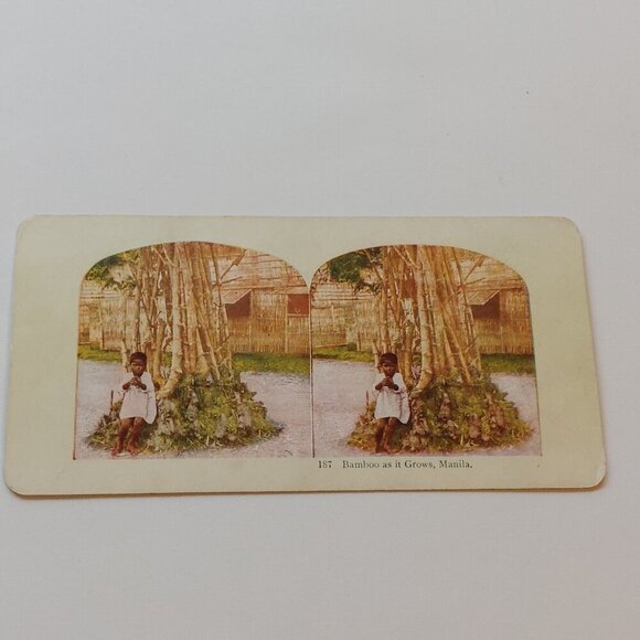 ANTIQUE STEREOGRAPH Card DOUBLE SIDED Bamboo as it Grows, Manilla/Peeheai COLOUR - Picture 1 of 5
